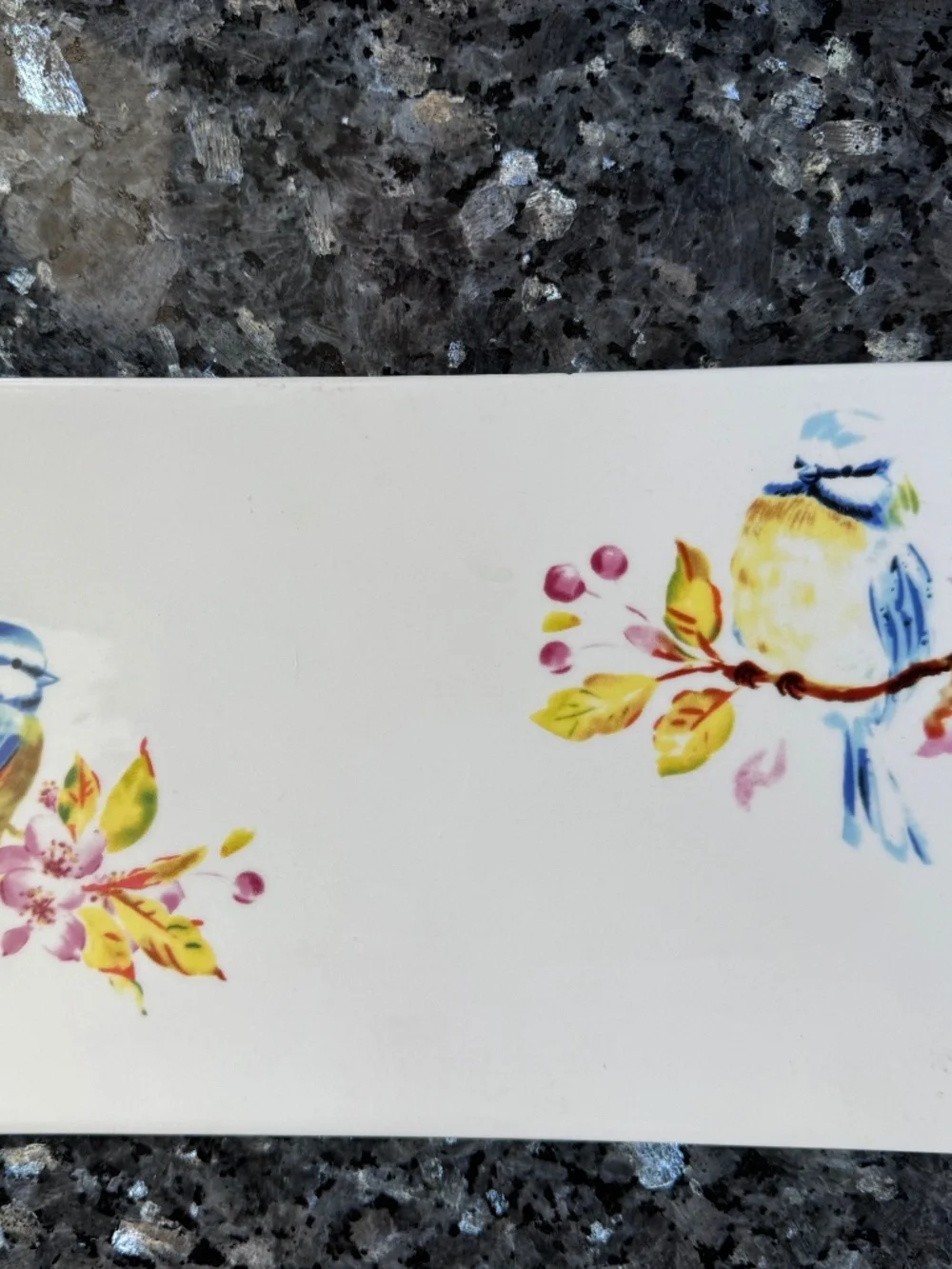 Sweet Pier 1 Imports Blue Bird Cherry Blossoms Appetizer Side Dish Plate
